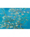 Puzzle 1000 piese - Vincent Van Gogh: Almond Blossom, 1890 (Art-by-Bluebird-60007)