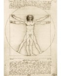 Puzzle 1000 piese - Leonardo Da Vinci: The Vitruvian Man, 1490 (Art-by-Bluebird-60009)