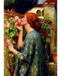 Puzzle 1000 piese - John William Waterhouse: The Soul of the Rose, 1903 (Art-by-Bluebird-60096)