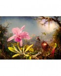 Puzzle 1000 piese - Martin Johnson Heade: Cattleya Orchid and Three Hummingbirds, 1871 (Art-by-Bluebird-60097)