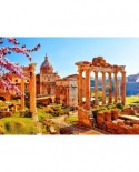 Puzzle Bluebird - Roman Ruins in Spring, Italy, 1000 piese (70463)