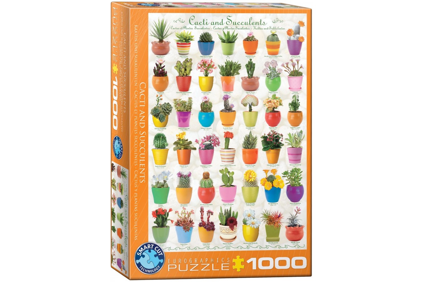Puzzle Eurographics - Cactus & Succulents, 1000 piese (6000-0654)