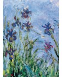 Puzzle Eurographics - Claude Monet: Iris (Detail), 1000 piese (6000-2034)
