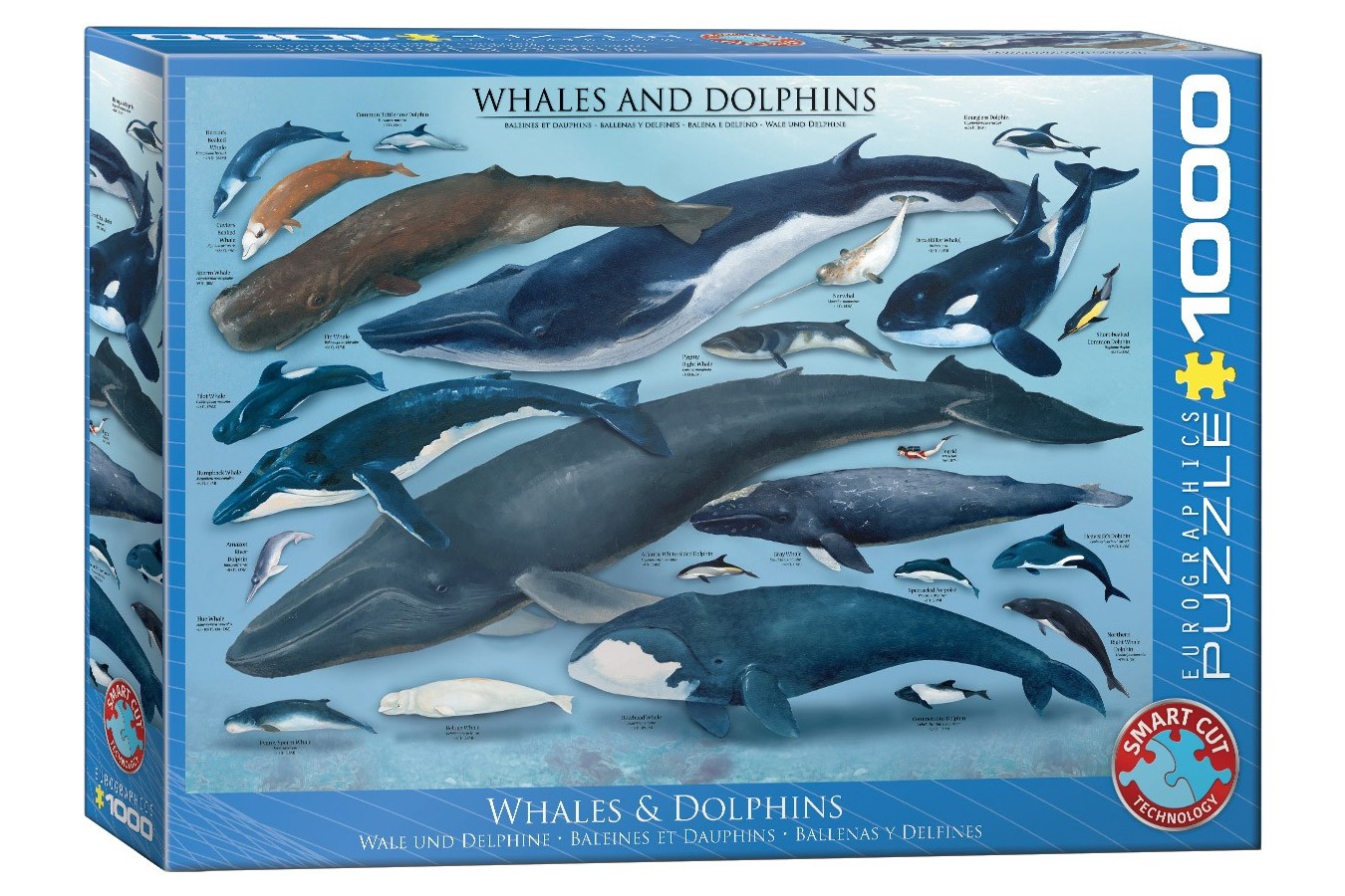 Puzzle Eurographics - Dolphins and Whales, 1000 piese (6000-0082)