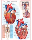 Puzzle Eurographics - The Heart, 1000 piese (6000-0257)