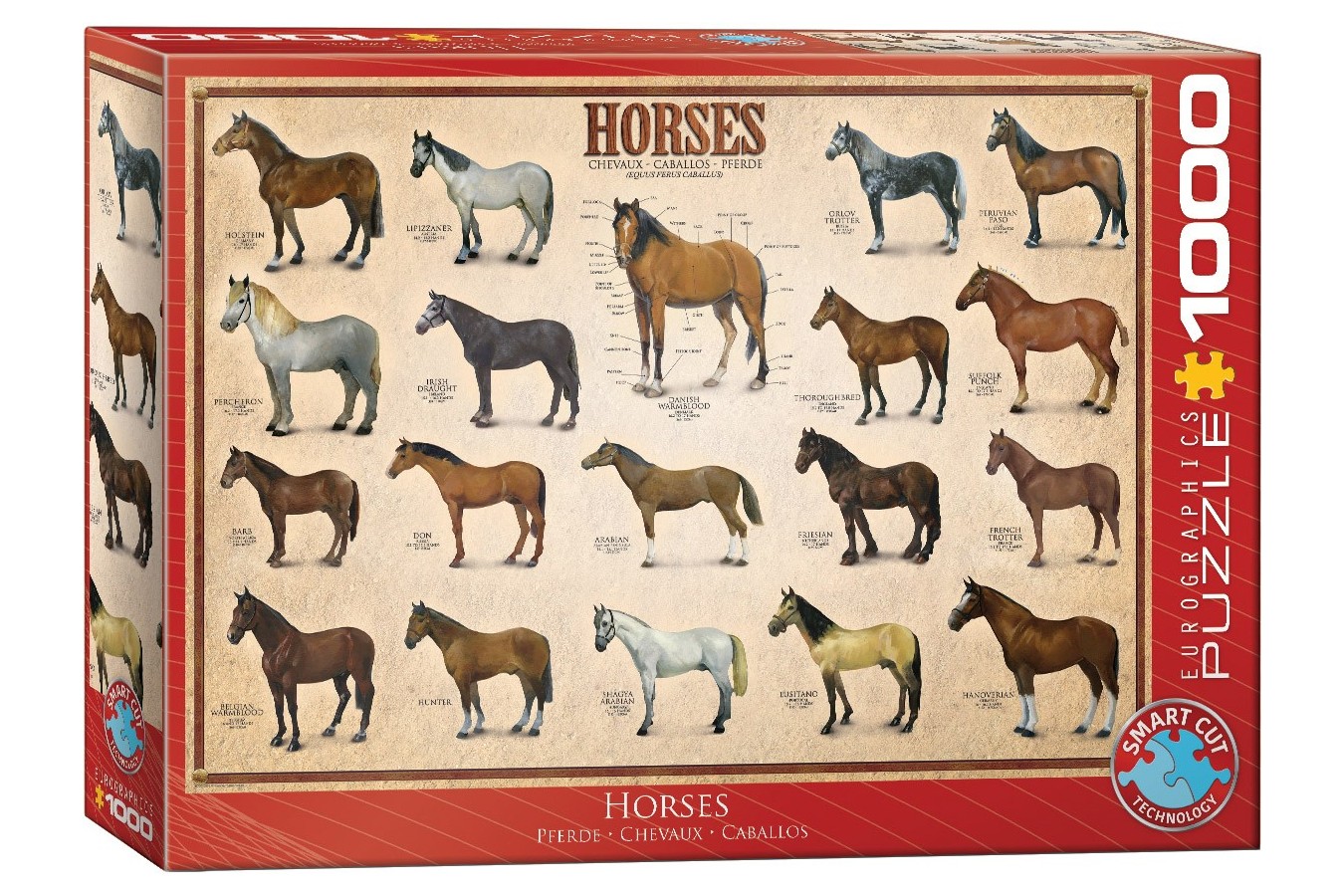 Puzzle Eurographics - Horses, 1000 piese (6000-0078)