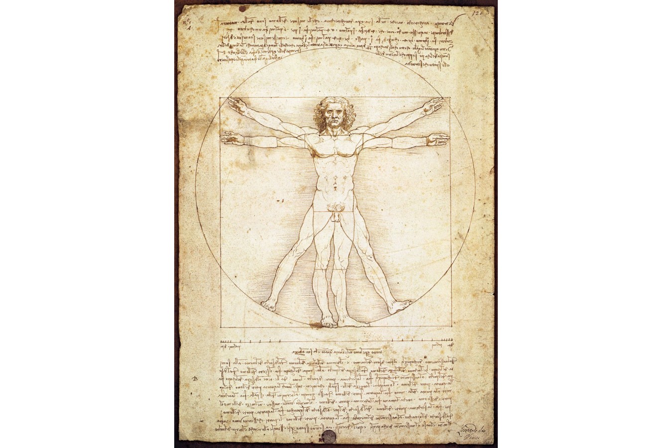 Puzzle Eurographics - Leonardo Da Vinci: Vitruvian Man, 1000 piese (6000-5098)