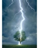 Puzzle Eurographics - Lightning striking a tree, 1000 piese (6000-4570)