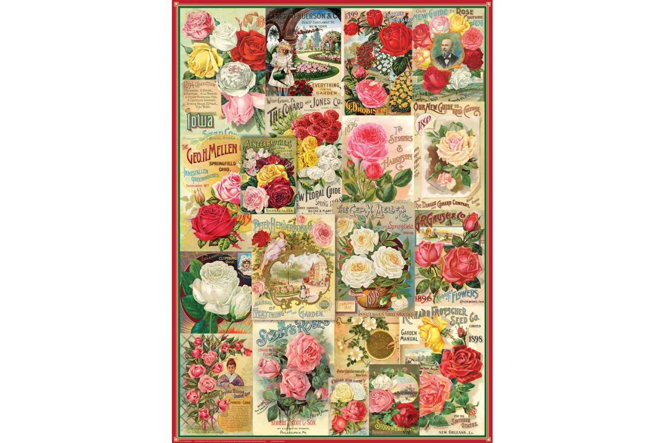 Puzzle Eurographics - Roses Seed Catalogue, 1000 piese (6000-0810)
