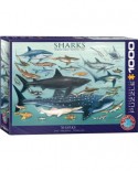 Puzzle Eurographics - Sharks, 1000 piese (6000-0079)