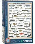 Puzzle Eurographics - Susswasserfische, 1000 piese (6000-0312)