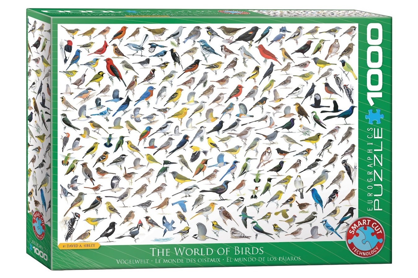 Puzzle Eurographics - The World of Birds, 1000 piese (6000-0821)