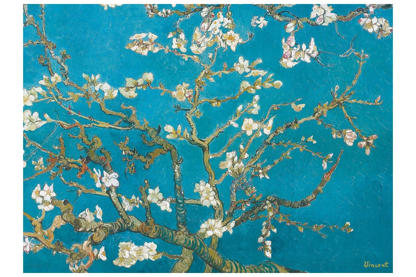 Puzzle Eurographics - Vincent Van Gogh: Almond Branches in Bloom, 1000 piese (6000-0153)