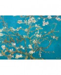 Puzzle Eurographics - Vincent Van Gogh: Almond Branches in Bloom, 1000 piese (6000-0153)