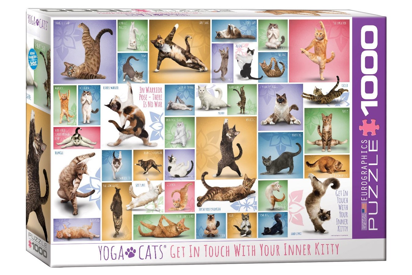 Puzzle Eurographics - Yoga Cats, 1000 piese (6000-0953)