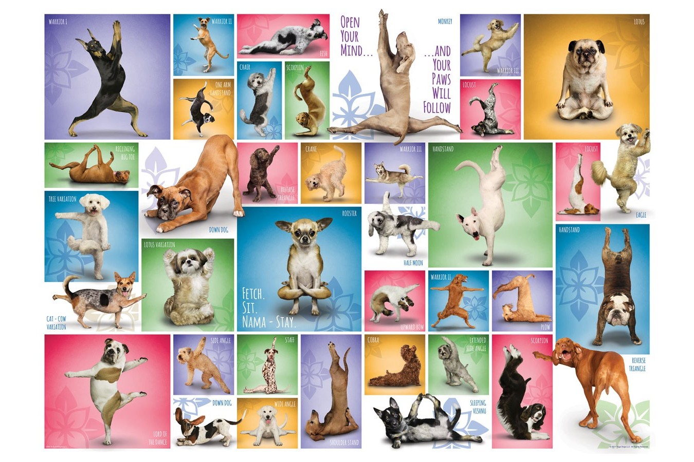Puzzle Eurographics - Yoga Dogs, 1000 piese (6000-0954)