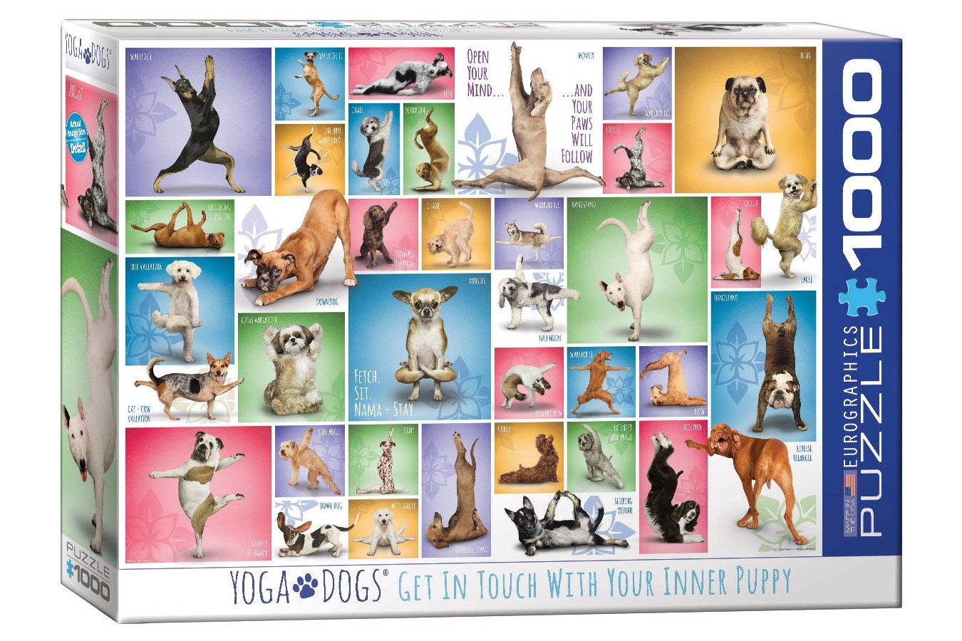 Puzzle Eurographics - Yoga Dogs, 1000 piese (6000-0954)