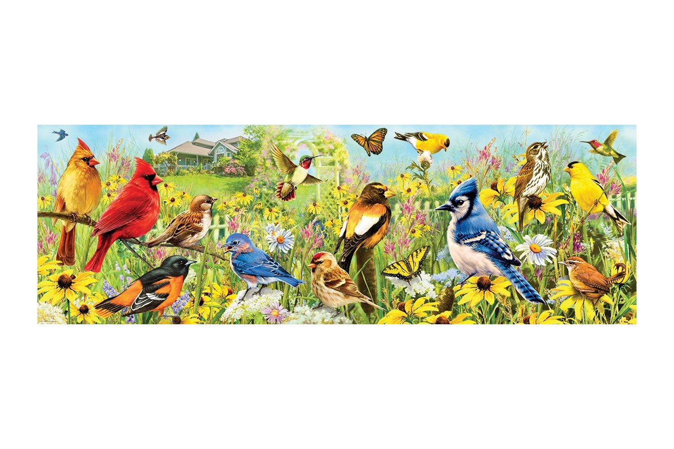 Puzzle panoramic Eurographics - Garden Birds, 1000 piese (6010-5338)