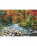 Puzzle Eurographics - Forest Stream, 1000 piese (6000-2132)