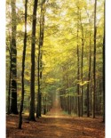 Puzzle Eurographics - Forest Path, 1000 piese (6000-3846)