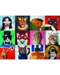 Puzzle Eurographics - Lucia Heffernan: Funny Cats, 1000 piese (6000-5522)