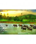 Puzzle Eurographics - Save the Planet!Animal Kingdom, 1000 piese (6000-5540)