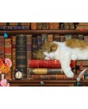 Puzzle Eurographics - The Cat Nap, 500 piese XXL (6500-5545)