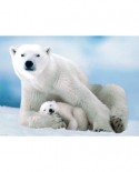 Puzzle Eurographics - Polar Bear & Baby, 1000 piese (6000-1198)