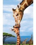 Puzzle Eurographics - Giraffes, 250 piese (8251-0294)