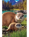 Puzzle Eurographics - Otters, 250 piese (8251-5558)