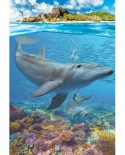 Puzzle Eurographics - Dolphins, 250 piese (8251-5560)