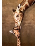 Puzzle 500 piese XXL - Giraffe Mother's Kiss (Eurographics-6500-0301)