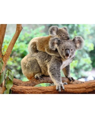Puzzle Ravensburger - Koala, 200 piese (12945)