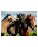 Puzzle 300 piese XXL - Colorful Horses (Dino-47226)