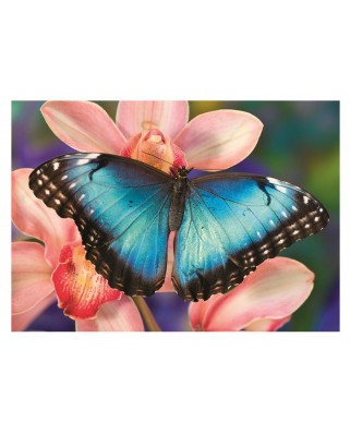Puzzle 500 piese - Butterfly (Dino-50249)
