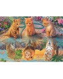 Puzzle 500 piese - Premium Collection - A Kitten's Dream (Jumbo-18850)