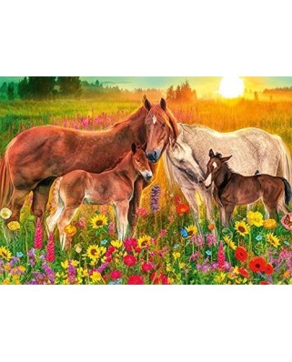 Puzzle 500 piese - Premium Collection - Horses in the Meadow (Jumbo-18851)