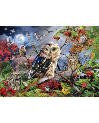 Puzzle 1000 piese - Owls in the Moonlight (Jumbo-18859)