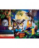 Puzzle 300 piese XXL - Night Owl Study Group (Master-Pieces-32151)