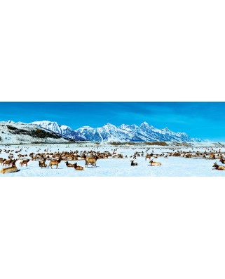 Puzzle 1000 piese panoramic - Elk Refuge (Master-Pieces-72064)