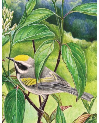 Puzzle 100 piese mini - Golden-winged Warbler (New-York-Puzzle-CB1860)