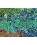 Puzzle 1000 piese - Vincent Van Gogh: Iris (Pomegranate-AA331)