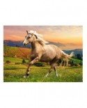 Puzzle 500 piese - Afternoon Gallop in the Sun (Trefl-37396)