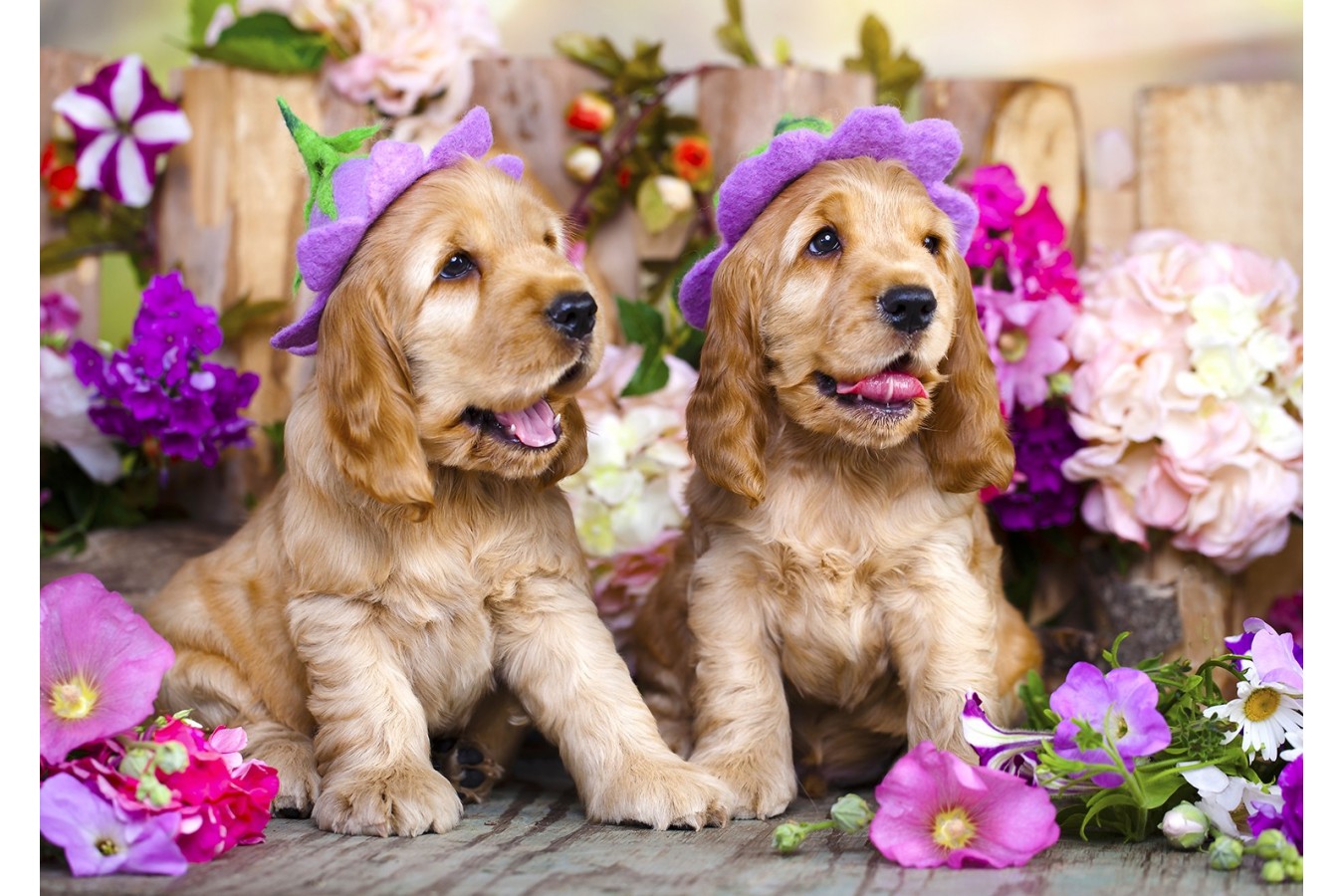 Puzzle 1000 piese Enjoy - Spaniel Puppies with Flower Hats (Enjoy-1263)