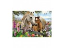 Puzzle 150 piese - Mare And Foal (Schmidt-56421)