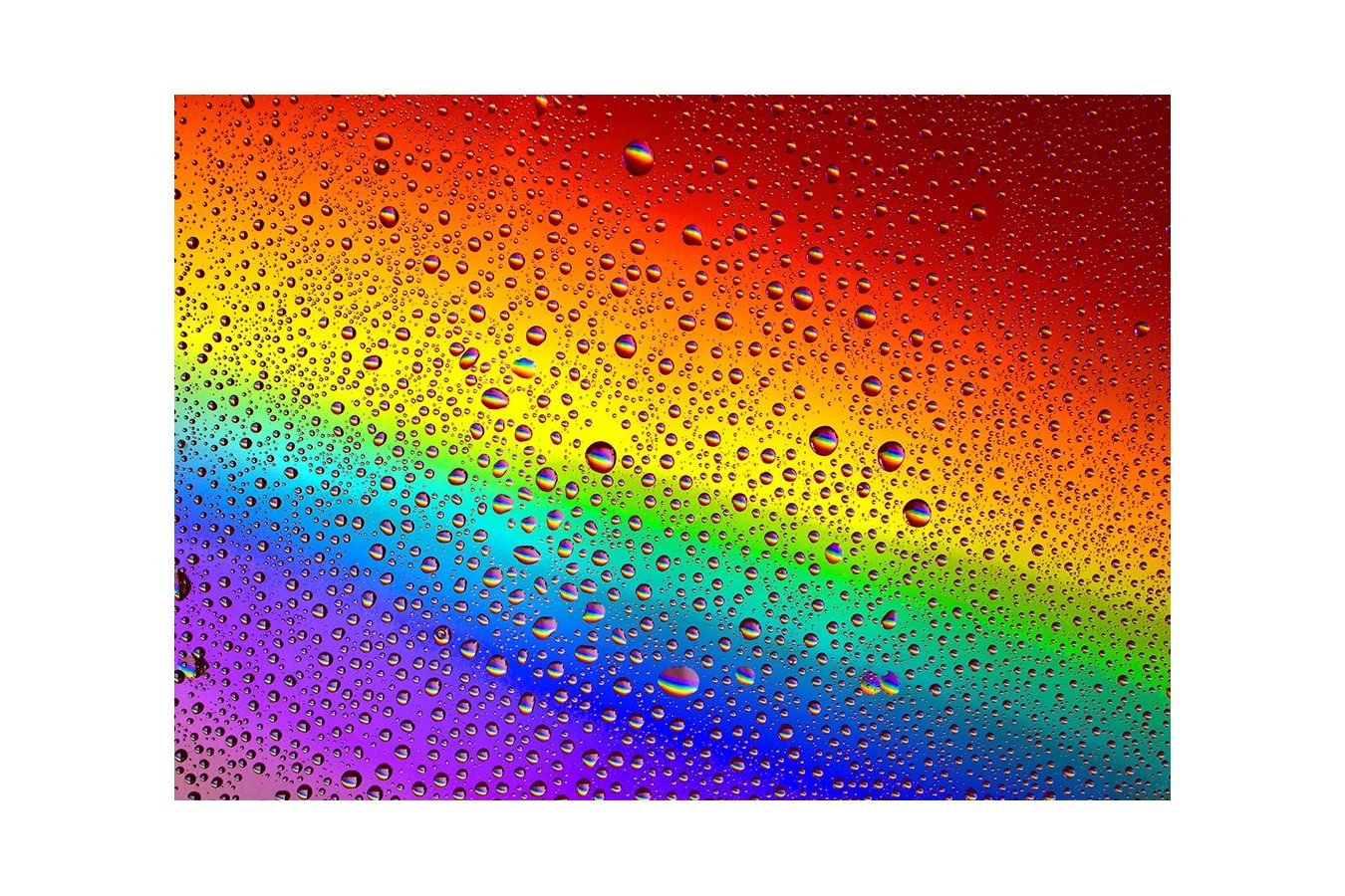 Puzzle 1000 piese Enjoy - Rainbow Drops (Enjoy-1296)