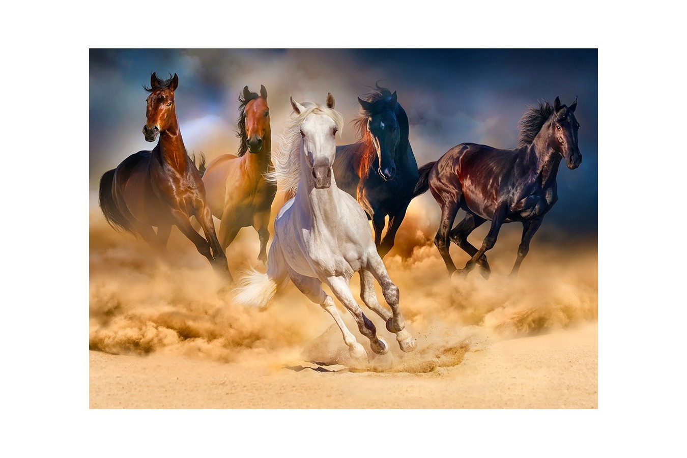 Puzzle 1000 piese Enjoy - Horses Running in the Desert (Enjoy-1356)
