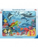 Puzzle 30 piese Ravensburger - Animale Marine (Ravensburger-05566)