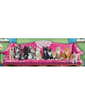 Puzzle 1000 piese panoramic Eurographics - Kitty Cat Couch (Eurographics-6010-5629)