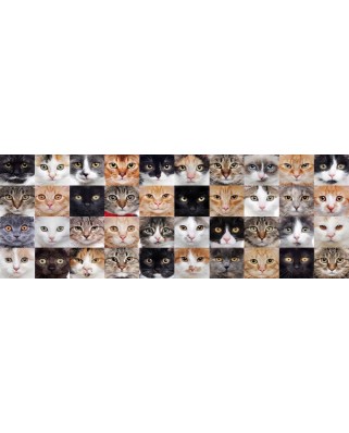 Puzzle 1000 piese Nova - Cat Collage (Nova-Puzzle-40007)